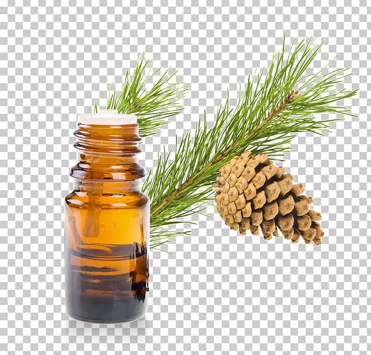 Essential Oil Neroli Lavender Oil Cananga Odorata PNG, Clipart, Alphapinene, Aromatherapy, Bitter Orange, Cananga Odorata, Conifer Free PNG Download