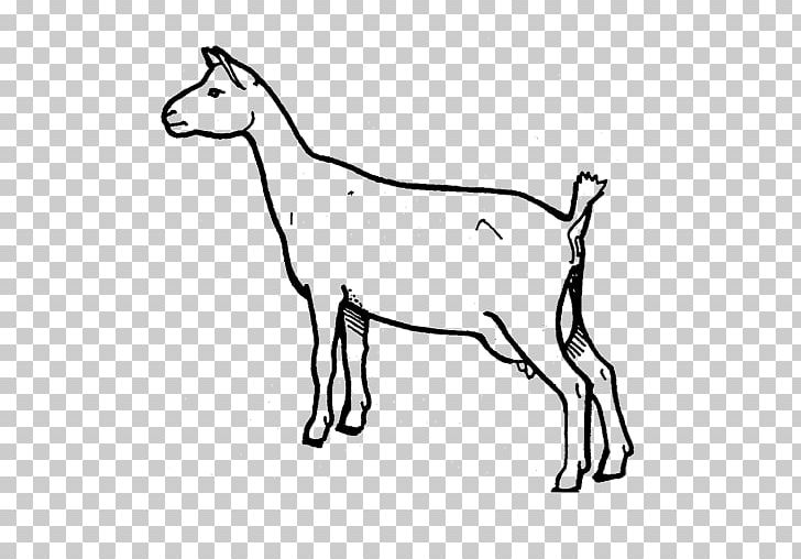 Nigerian Dwarf Goat Oberhasli Goat Cattle Animal Caprinae PNG, Clipart, Animal Figure, Animals, Area, Art, Black And White Free PNG Download