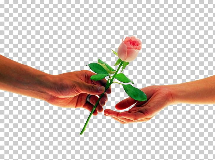Propose Day Valentine's Day Desktop Happiness Girlfriend PNG, Clipart, 8th March, Cut Flowers, Desktop Wallpaper, February 8, Finger Free PNG Download