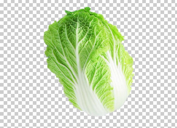 Romaine Lettuce Capitata Group Chinese Cabbage Napa Cabbage Vegetable PNG, Clipart, Brassica Juncea, Brassica Oleracea, Cabbage, Capitata Group, Celery Free PNG Download