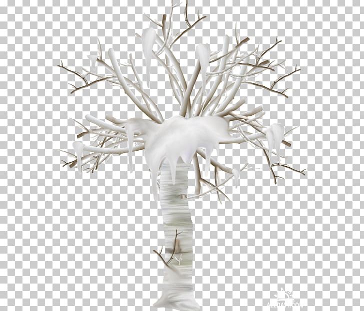 Black And White Twig Scrubs Tree PNG, Clipart, Arab League, Black, Black And White, Branch, Egypt Free PNG Download