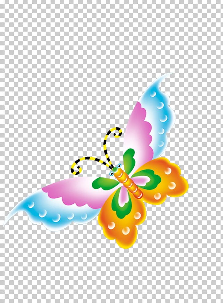 Butterfly Creativity PNG, Clipart, Blue Butterfly, Butterflies, Butterflies And Moths, Butterfly Group, Butterfly Wings Free PNG Download