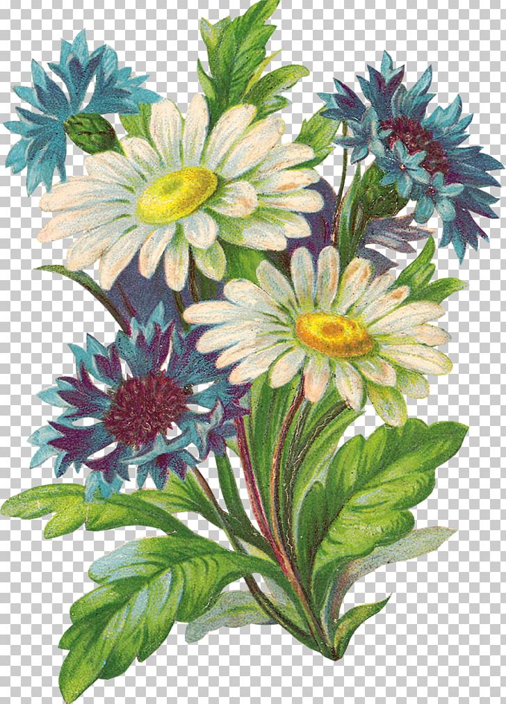 Common Daisy Flower Bouquet Garden Roses PNG, Clipart, Annual Plant, Chamomile, Chrysanths, Common Daisy, Cornflower Free PNG Download