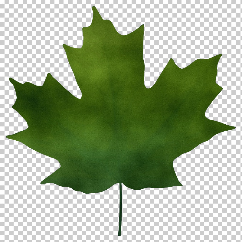 Maple Leaf PNG, Clipart, Autumn, Autumn Leaf Color, Blue, Color, Green Free PNG Download