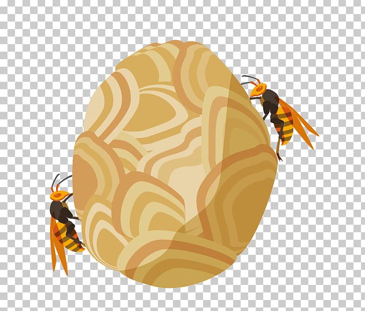 Honey Bee True Wasps Pest Control PNG, Clipart, Arthropod, Asian Giant Hornet, Bee, Honey Bee, Hornet Free PNG Download