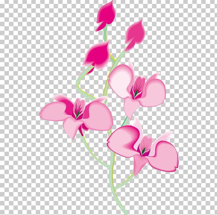 Orchids Animation PNG, Clipart, Art, Branch, Drawing, Euclidean Vector, Floral Free PNG Download
