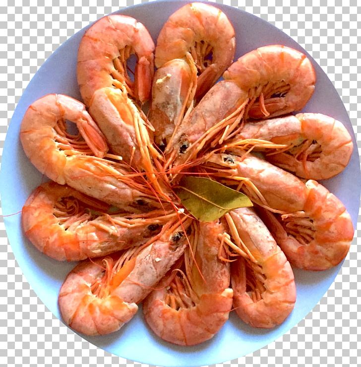 Prawns Caridea Recipe Scampi Food PNG, Clipart, Animal Source Foods, Caridea, Caridean Shrimp, Chef, Cook Free PNG Download