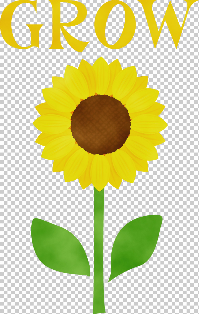 Check Mark PNG, Clipart, Account Verification, Check Mark, Emoji, Flower, Grow Free PNG Download