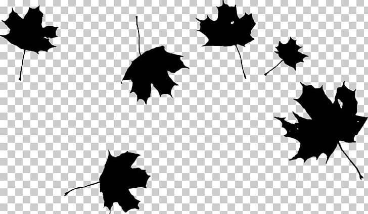 Autumn Leaf Color PNG, Clipart, Autumn, Autumn Leaf Color, Black, Black And White, Branch Free PNG Download