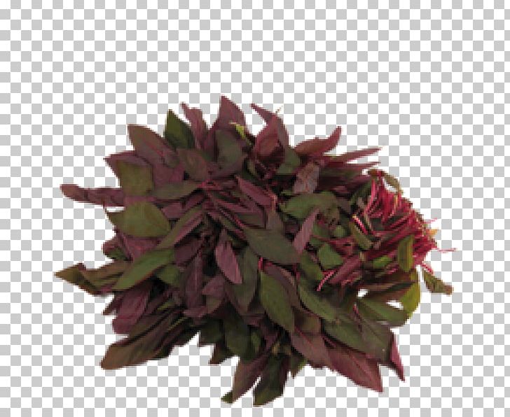 Flowerpot Herb PNG, Clipart, Add, Flower, Flowerpot, Herb, Inr Free PNG Download