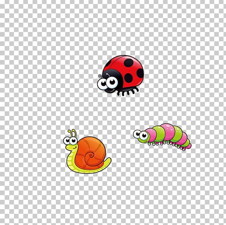Insect Ladybird Snail Coccinella Septempunctata PNG, Clipart, Agreement, Animals, Balloon Cartoon, Boy Cartoon, Cartoon Free PNG Download