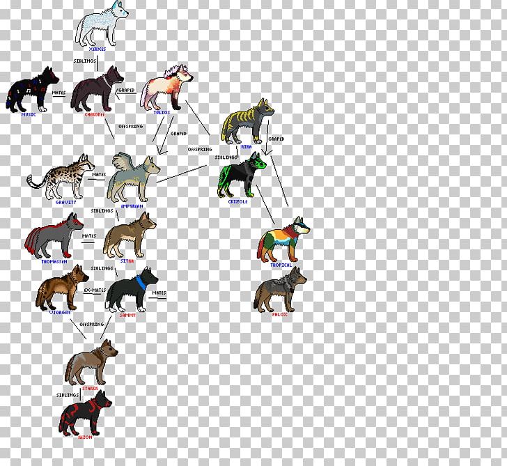 Canidae Gray Wolf Family Tree Coyote Pack PNG, Clipart, Alpha, Ancestor, Animal, Animal Figure, Area Free PNG Download