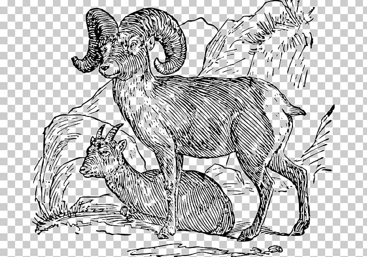 Desert Bighorn Sheep Bighorn River Bighorn Mountain PNG, Clipart, Animals, Argali, Art, Bighorn Mountain, Bighorn River Free PNG Download