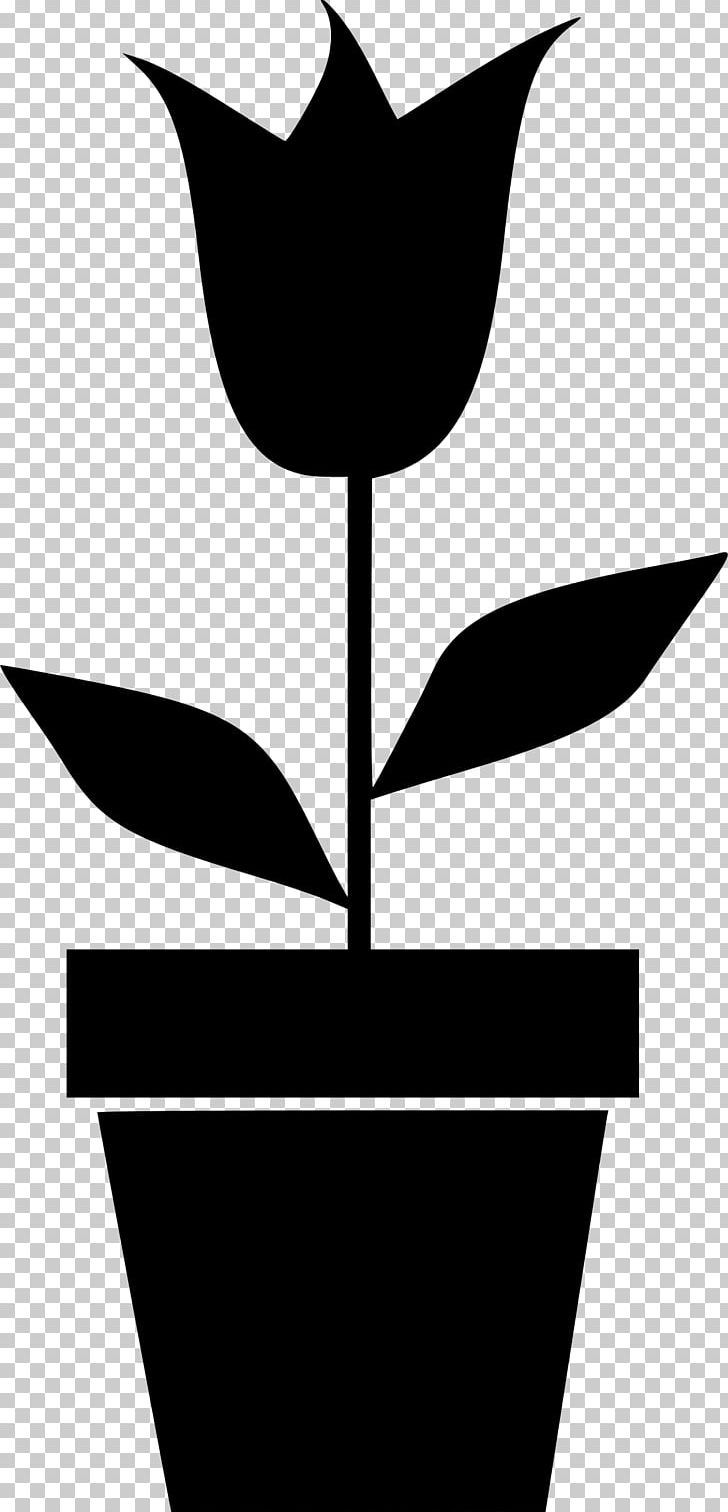 Flowerpot Houseplant PNG, Clipart, Artwork, Black And White, Branch, Computer Icons, Flora Free PNG Download