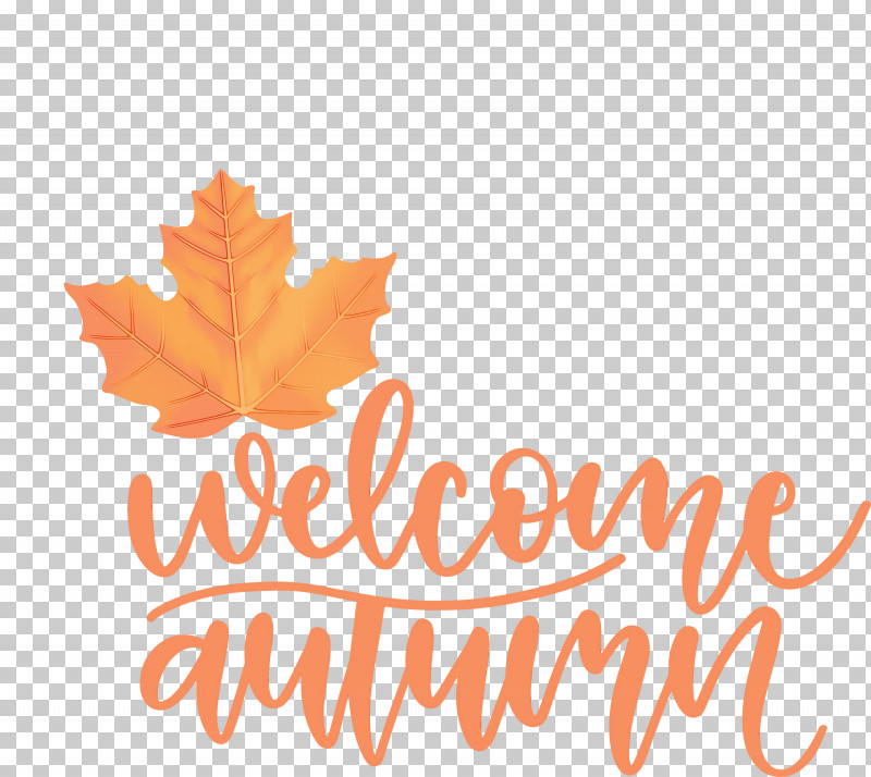 Maple Leaf PNG, Clipart, Autumn Time, Biology, Hello Autumn, Leaf, Logo Free PNG Download