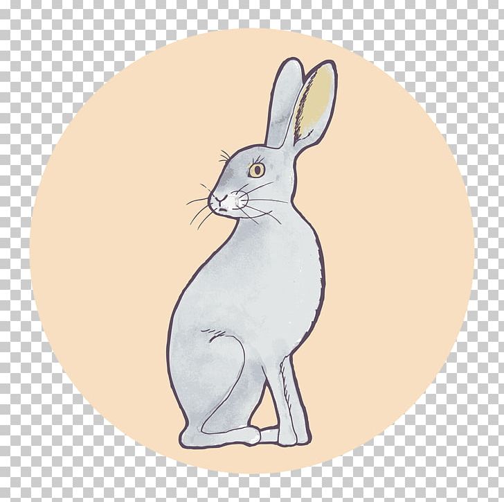 Domestic Rabbit Hare Whiskers Illustration PNG, Clipart, Abstract Pattern, Animals, Bunny, Cartoon, Child Free PNG Download
