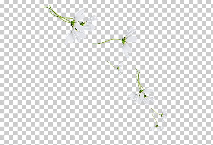 Petal Floral Design Twig Desktop Plant Stem PNG, Clipart, Blossom, Branch, Computer, Computer Wallpaper, Desktop Wallpaper Free PNG Download