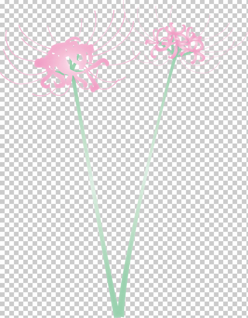Hurricane Lily Flower PNG, Clipart, Flower, Hurricane Lily, Pedicel, Pink, Plant Free PNG Download