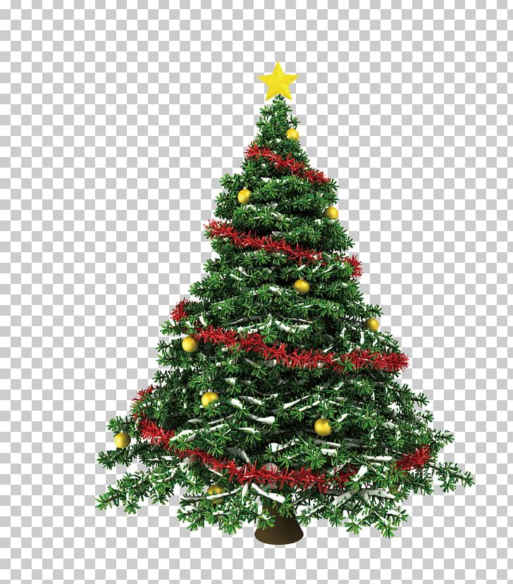 Christmas Tree Stock Photography PNG, Clipart, Christ, Christmas, Christmas Decoration, Christmas Frame, Christmas Lights Free PNG Download