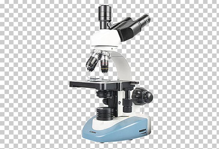 Digital Microscope Magnification PNG, Clipart, Angle, Bacteria Under Microscope, Cartoon Microscope, Laboratory, Microscope Free PNG Download