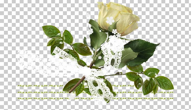 Garden Roses Cut Flowers Bouches-du-Rhône Branching PNG, Clipart, 2018, Branch, Cut Flowers, Flower, Flowering Plant Free PNG Download