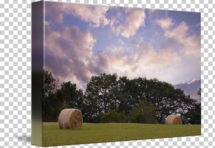 Painting Frames Farm Energy Sky Plc PNG, Clipart, Art, Cloud, Energy, Farm, Field Free PNG Download