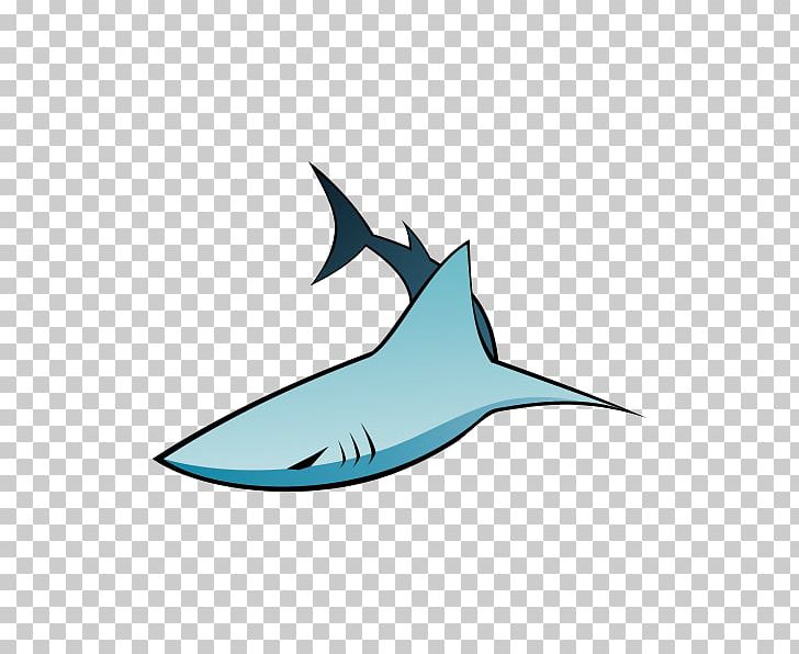 Requiem Shark Fish Animal PNG, Clipart, Animal, Animals, Cartilaginous Fish, Dolphin, Fin Free PNG Download