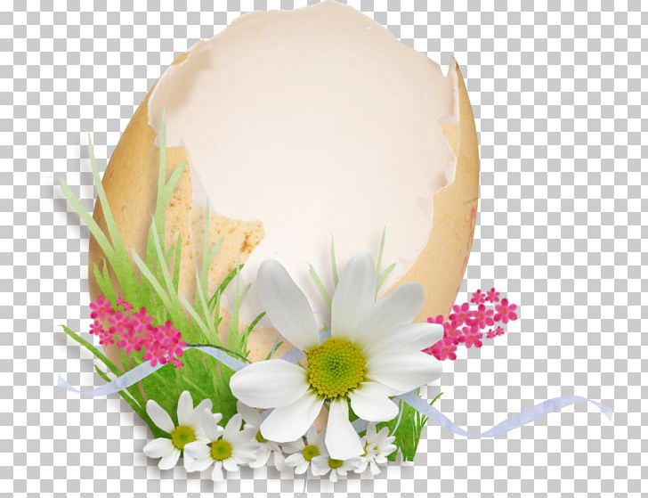 Easter Egg Easter Bunny PNG, Clipart, Alternative Medicine, Cut Flowers, Daisy, Easter, Easter Bunny Free PNG Download