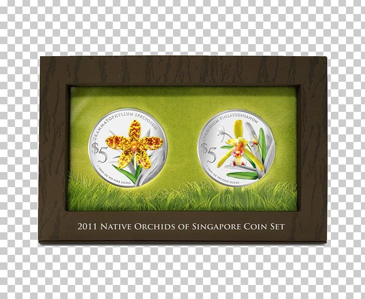 Silver Coin Silver Coin Gold Proof Coinage PNG, Clipart, Brand, Coelogyne, Coin, Coin Holiday, Coin Set Free PNG Download