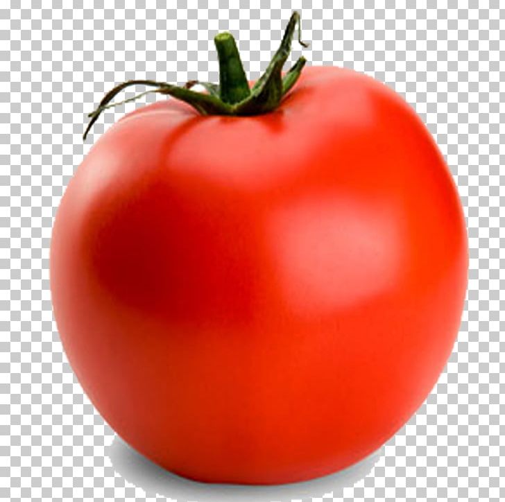 Tomato Vegetable Fruits Et Légumes Lycopersicon PNG, Clipart, Beetroot, Bush Tomato, Deglazing, Diet Food, Food Free PNG Download