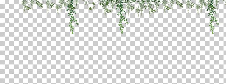 Twig Green Grasses Plant Stem Leaf PNG, Clipart, Branch, Clean, Flora, Grass, Grasses Free PNG Download