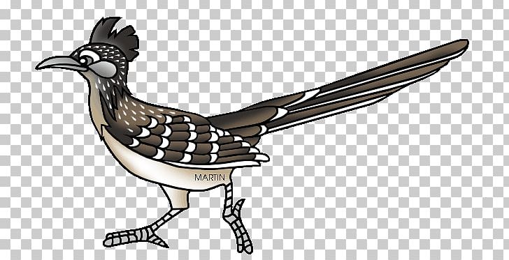 Blog PNG, Clipart, Animal Figure, Art, Beak, Bird, Bird Clipart Free PNG Download