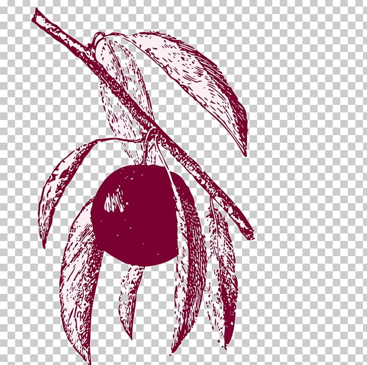 Cherry Auglis Fruit PNG, Clipart, 3d Computer Graphics, Apple Fruit, Art, Auglis, Book Paper Free PNG Download