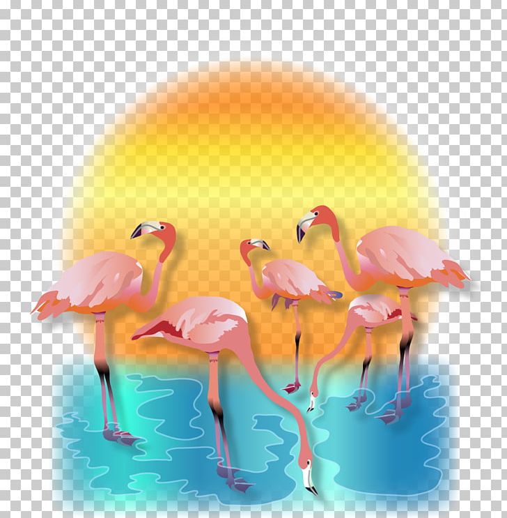 Chicken Orange Cafe Bird Logo Egg PNG, Clipart, Animals, Beak, Bird, Cafe, Chicken Free PNG Download