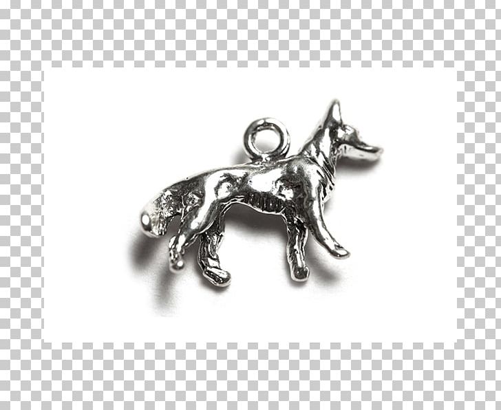 Locket Horse Body Jewellery Silver PNG, Clipart, Animals, Body Jewellery, Body Jewelry, Dog Like Mammal, Fashion Accessory Free PNG Download