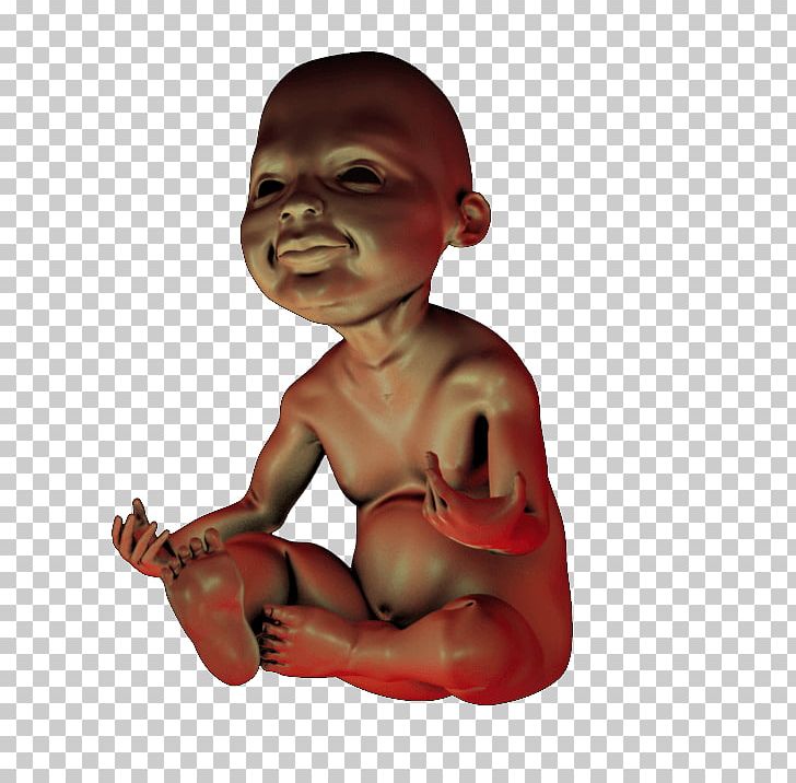 Toddler Infant Printing Child Fetus PNG, Clipart, 3d Printing, Arm, Cgtrader, Child, Digit Free PNG Download