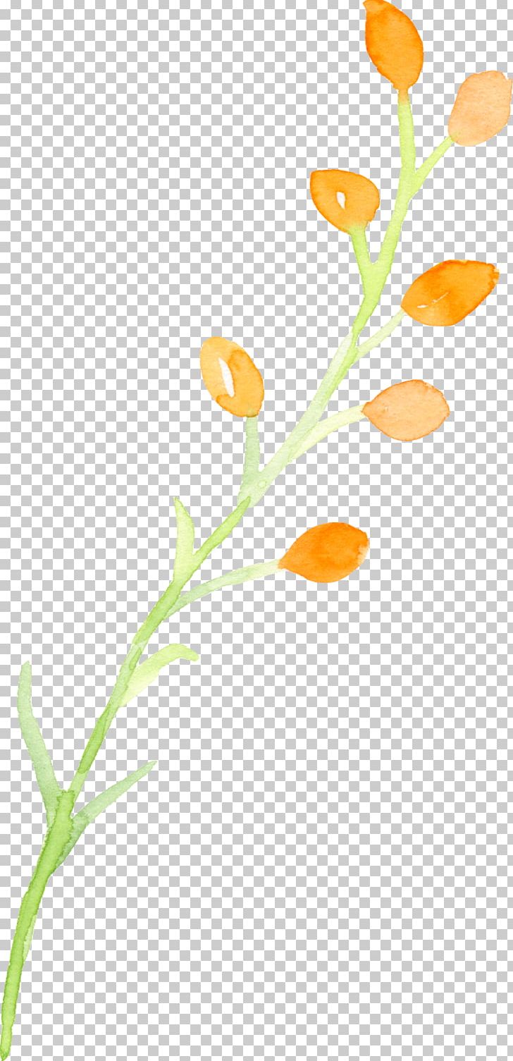 Painting Plant PNG, Clipart, Botany, Branch, Chinese Painting, Color, Color Painting Free PNG Download