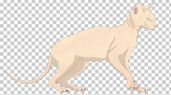 Whiskers Cat Paw Terrestrial Animal Puma PNG, Clipart, Animal, Animal Figure, Animals, Big Cat, Big Cats Free PNG Download