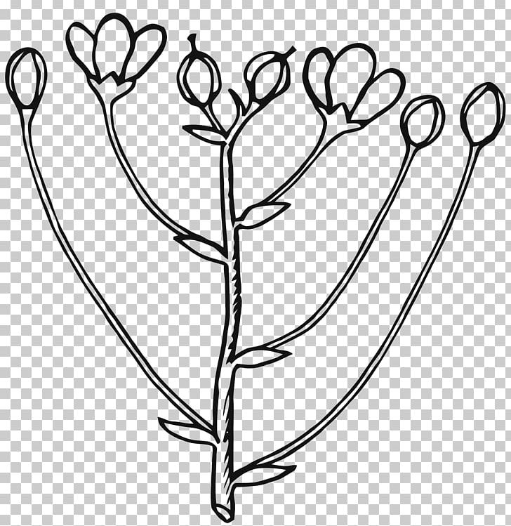 Bud Flower Rose PNG, Clipart, Black And White, Body Jewelry, Botany, Branch, Bud Free PNG Download