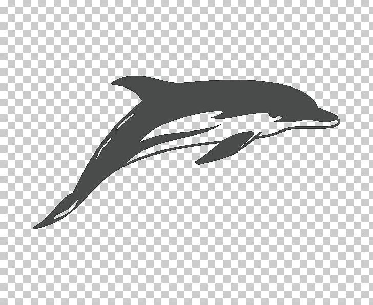 Common Bottlenose Dolphin Sticker Drawing Decal Tattoo PNG, Clipart, Animals, Decal, Delfin, Die Cutting, Dolphin Free PNG Download