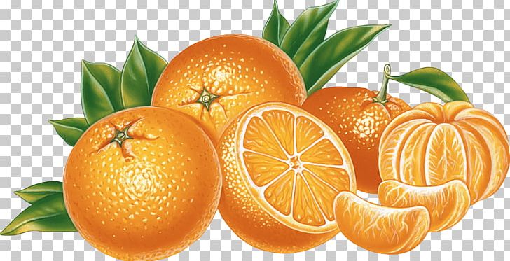Orange Illustration PNG, Clipart, Food, Fruits, Oranges Free PNG Download