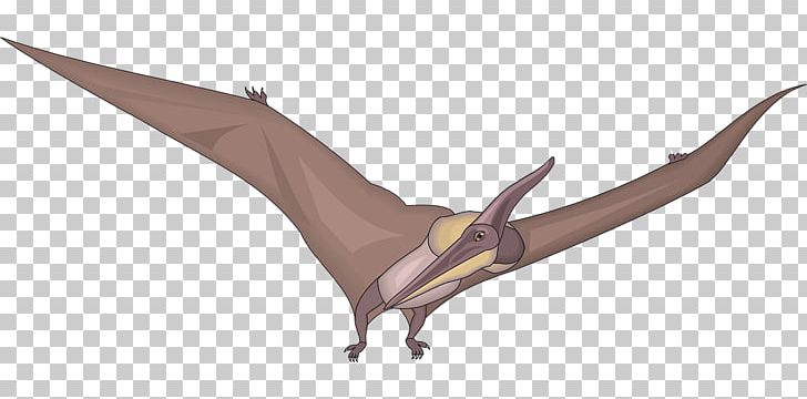 Pteranodon Dinosaur Pterosaurs PNG, Clipart, Brontosaurus, Cretaceous, Dinosaur, Fantasy, Pteranodon Free PNG Download