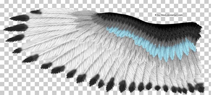 White-tailed Eagle Wing Bald Eagle Bird PNG, Clipart, Angel Wing, Animal, Bald Eagle, Bird, Brush Free PNG Download