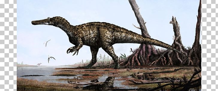 Baryonyx Spinosaurus Suchomimus Irritator Dinosaur PNG, Clipart, Baryonyx, Cretaceous, Dinosaur, Early Cretaceous, Extinction Free PNG Download