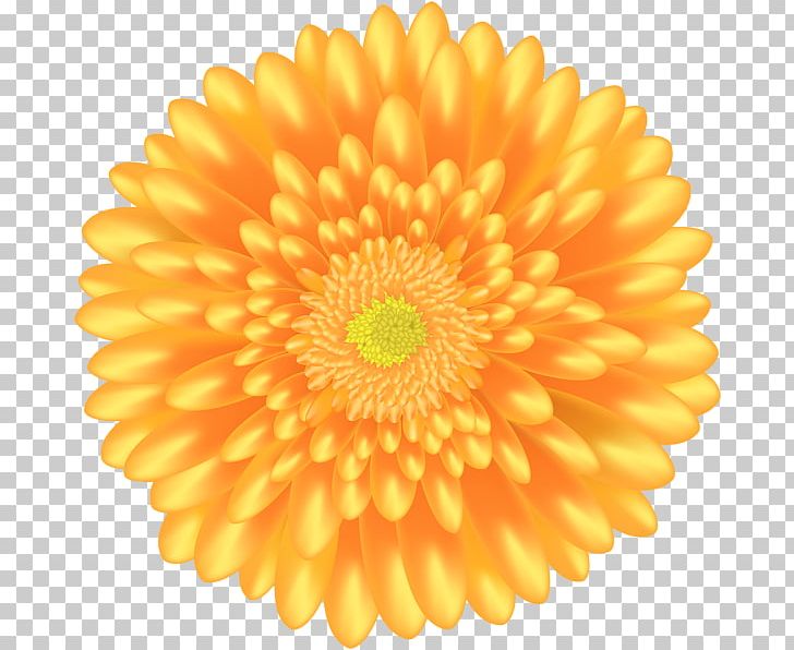 Flower Printing PNG, Clipart, Art, Art Museum, Chrysanths, Dahlia, Daisy Free PNG Download