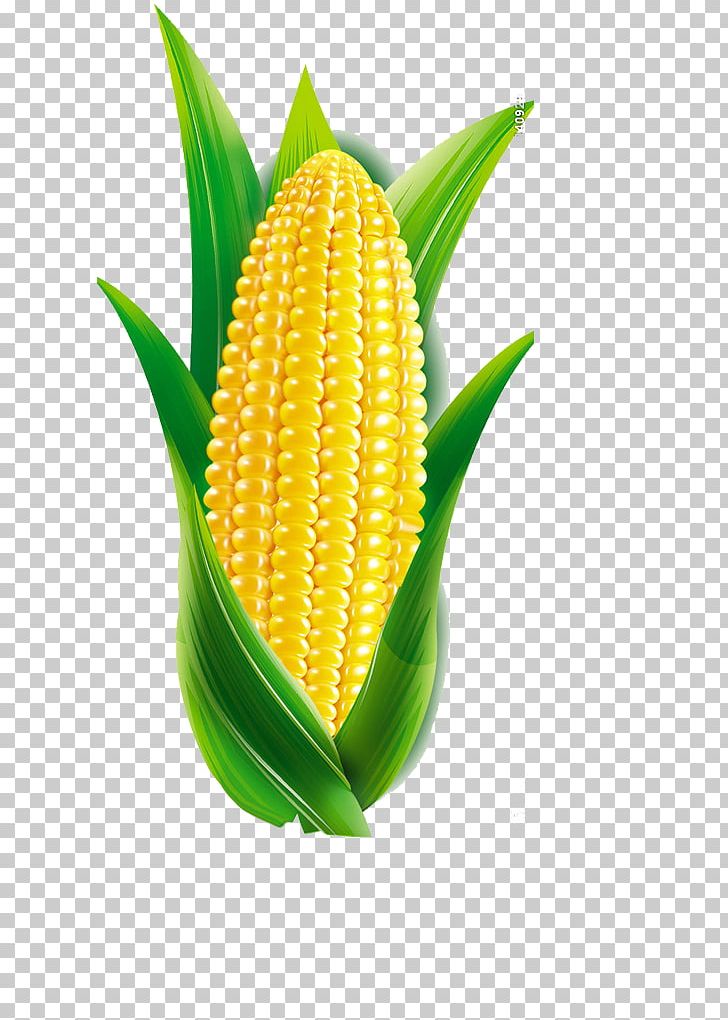 Maize Cartoon PNG, Clipart, Advertising, Carrot, Cartoon Corn, Commodity, Corn Free PNG Download