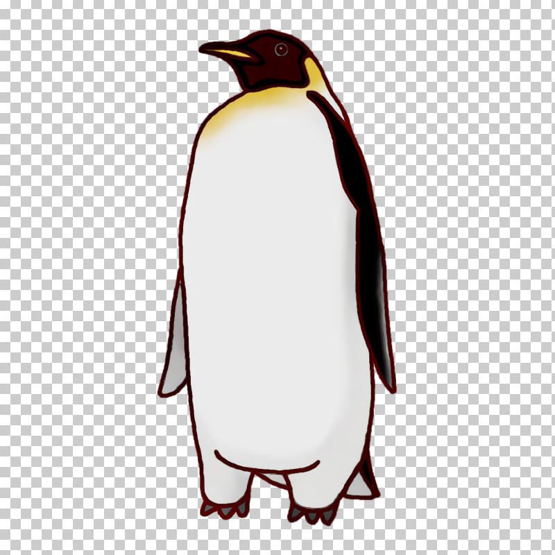 King Penguin Penguins Beak PNG, Clipart, Beak, King Penguin, Paint, Penguins, Watercolor Free PNG Download