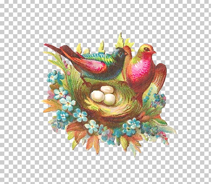 Bird Nest Bird Egg PNG, Clipart, American Robin, Animals, Beak, Bird, Bird Egg Free PNG Download