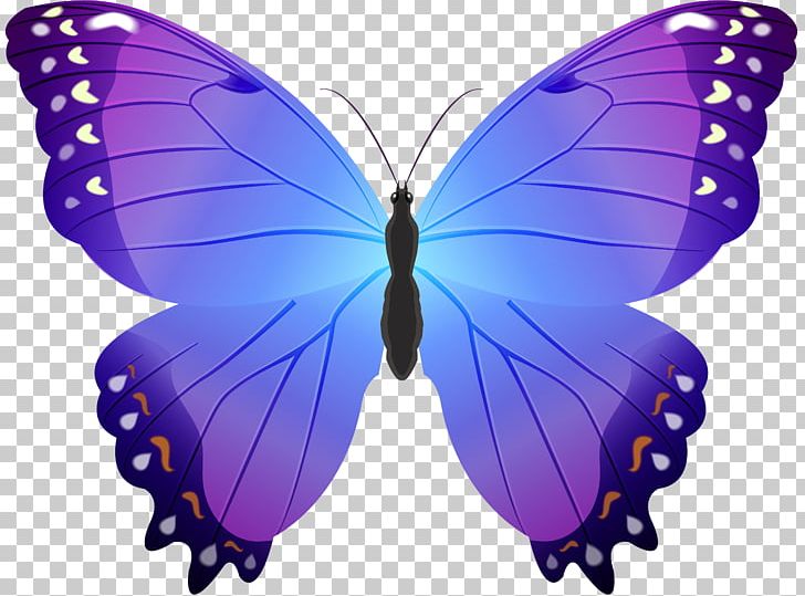 Butterfly Violet PNG, Clipart, Arthropod, Blue, Brush Footed Butterfly, Butterflies And Moths, Butterfly Free PNG Download