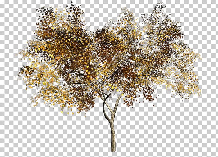 Tree Watercolor Painting PNG, Clipart, Autumn, Beautiful, Branch, Clip Art, Color Free PNG Download
